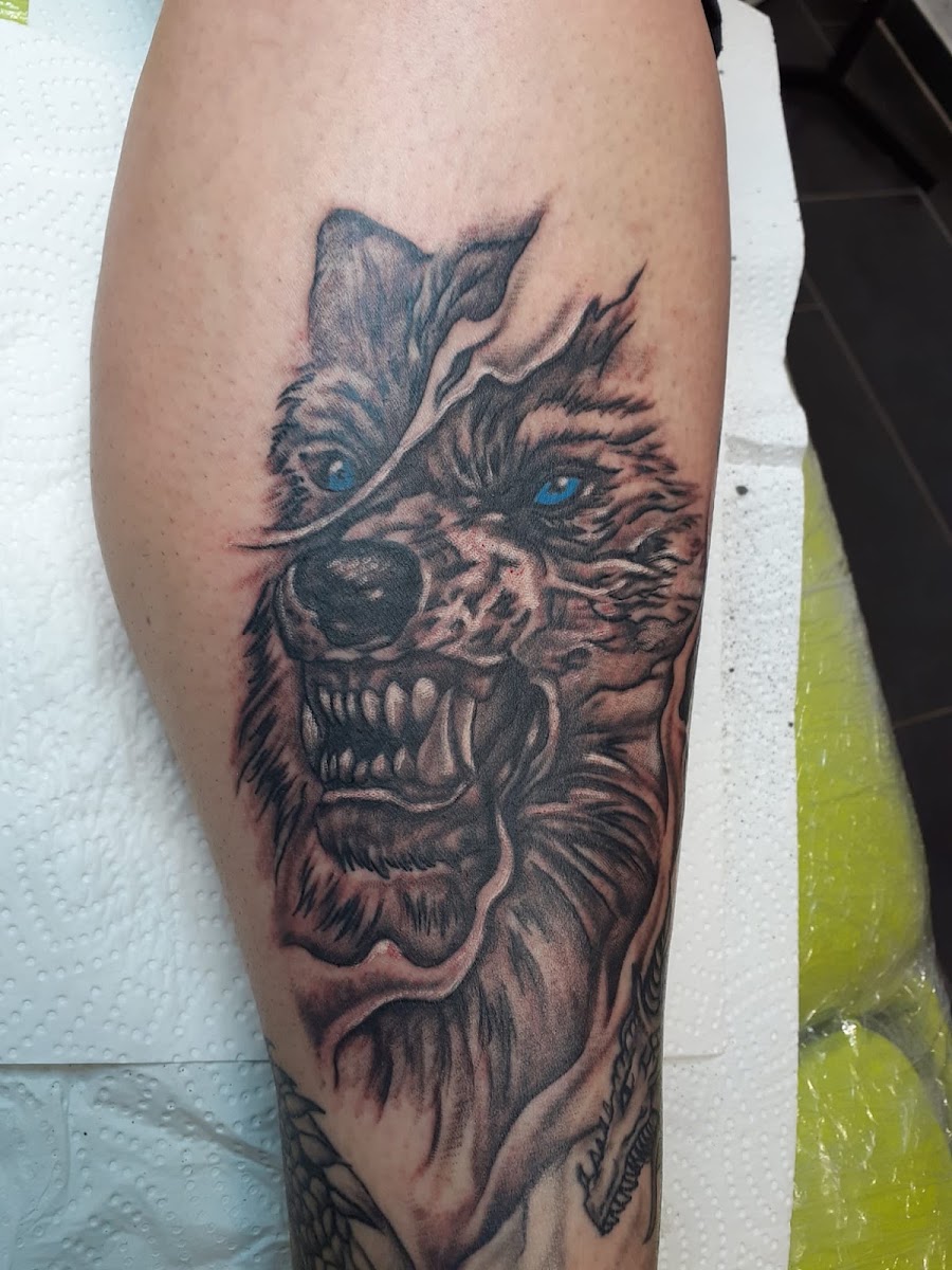 Fertiges Wolf-Kopf-Tattoo, Black & Grey Realismus bei Irrenanstalt Tattoo